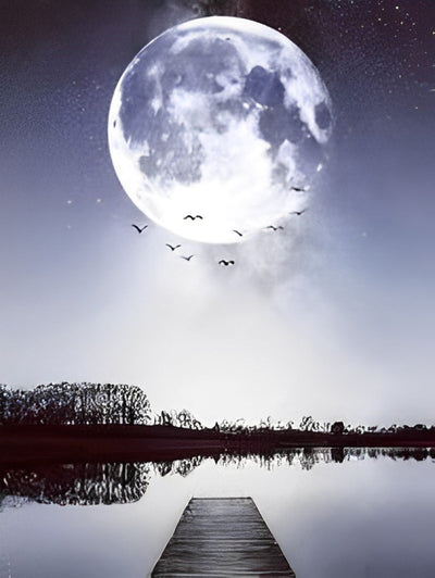 Les Oiseaux en Groupe et la Lune Broderie Diamant