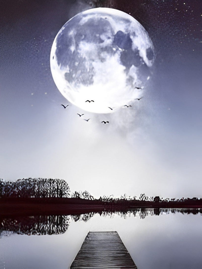 Les Oiseaux en Groupe et la Lune Broderie Diamant
