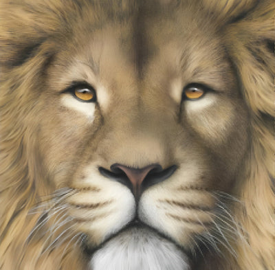 Lion aux Yeux Oranges Sérieux Broderie Diamant