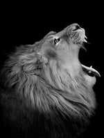 Lion avec la Bouche Ouverte Broderie Diamant