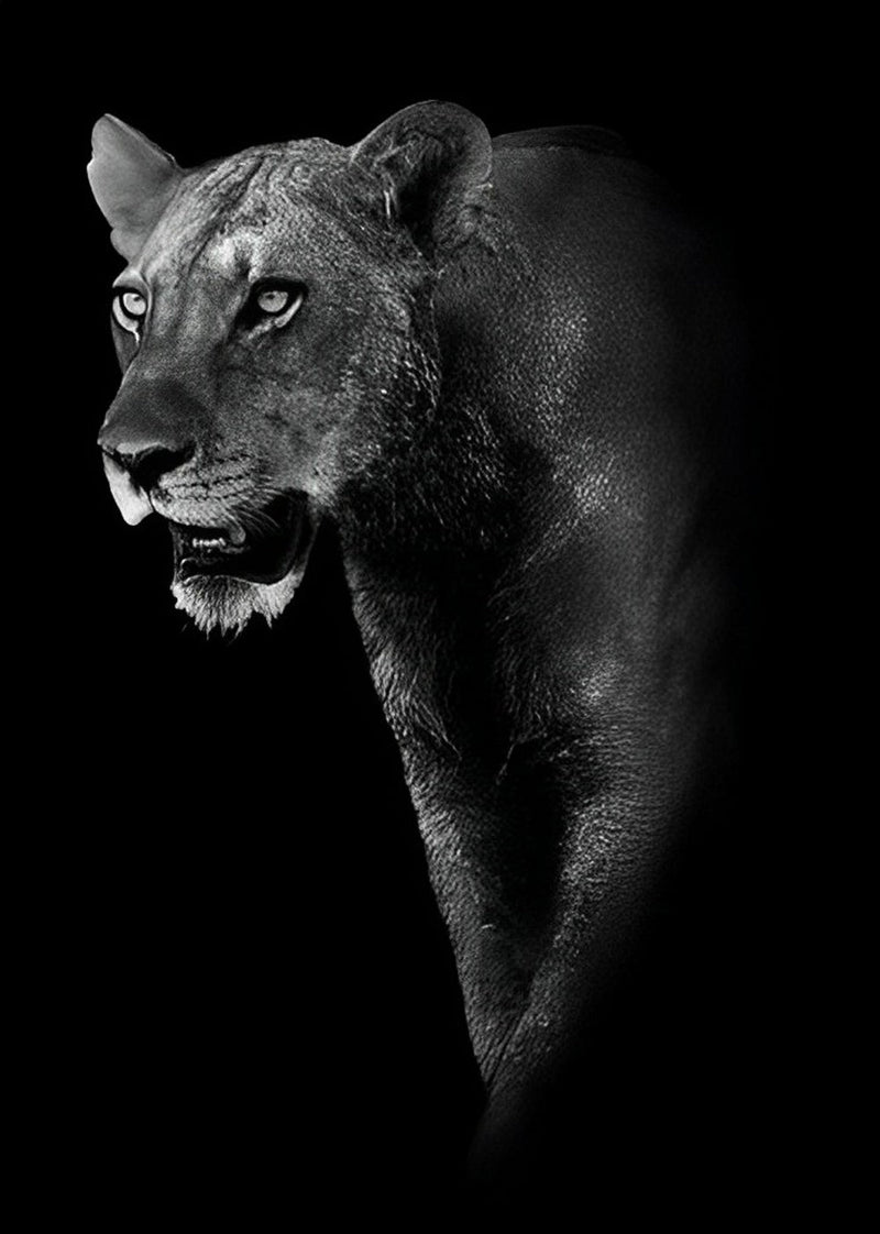 Lion Broderie Diamant