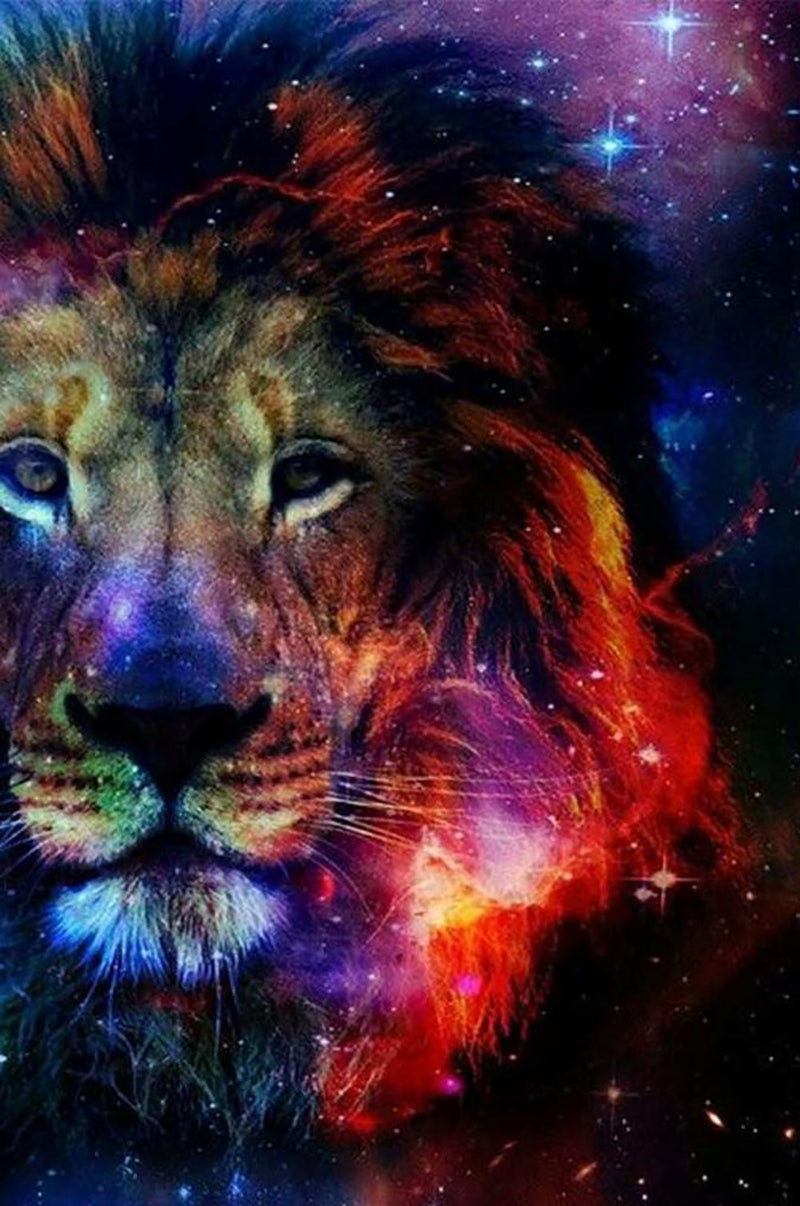 Lion Coloré et le Ciel Etoilé Broderie Diamant