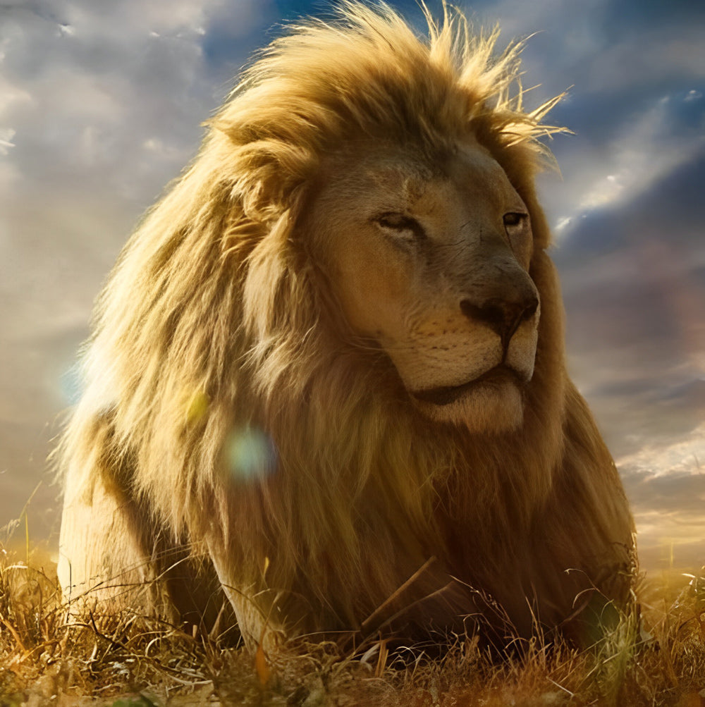 Lion Contemplatif Broderie Diamant