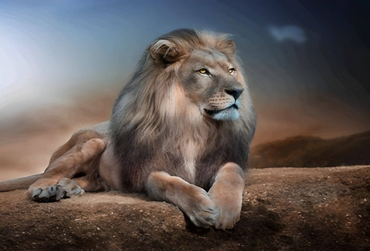 Lion dans la Savane Broderie Diamant