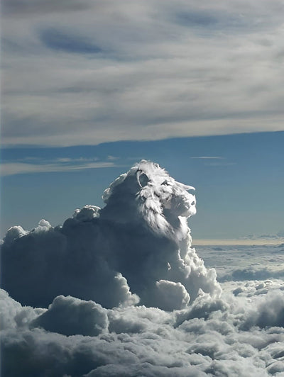 Lion de Nuage Blanc Broderie Diamant