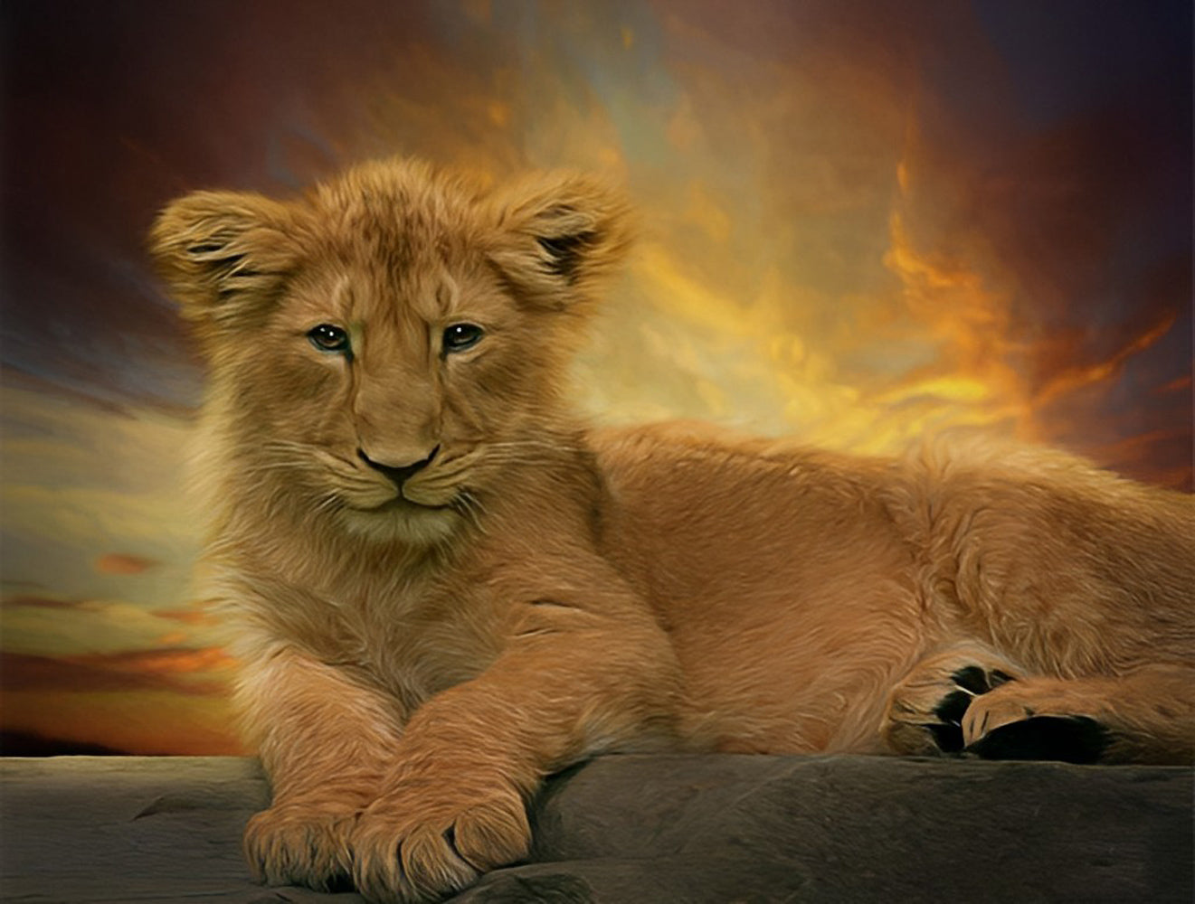 Lionceau et le Ciel Jaune Broderie Diamant