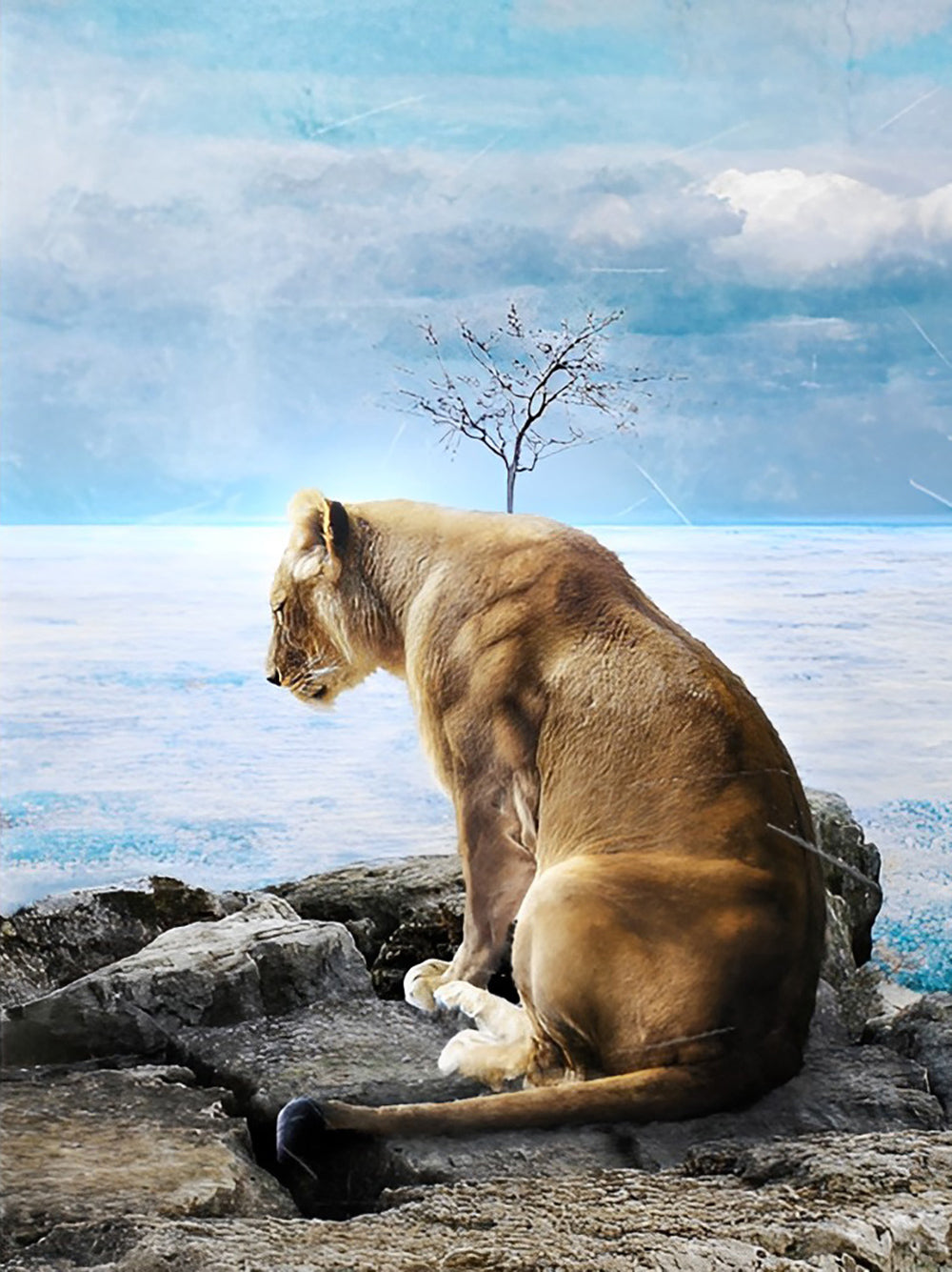 Lionne Solitaire Broderie Diamant