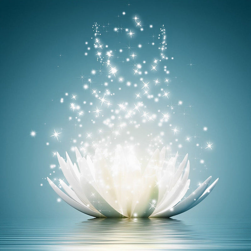 Lotus Blanc et Lucioles Broderie Diamant