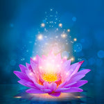 Lotus Rose Lumineux Broderie Diamant