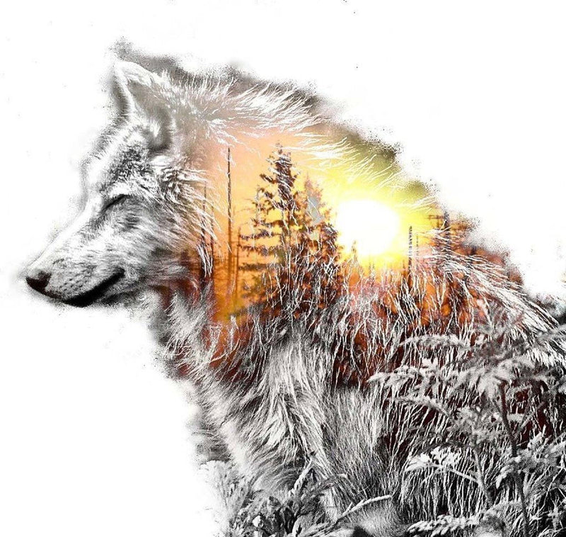 Loup Blanc avec un Paysage Broderie Diamant