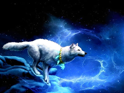 Loup Blanc Courant Broderie Diamant