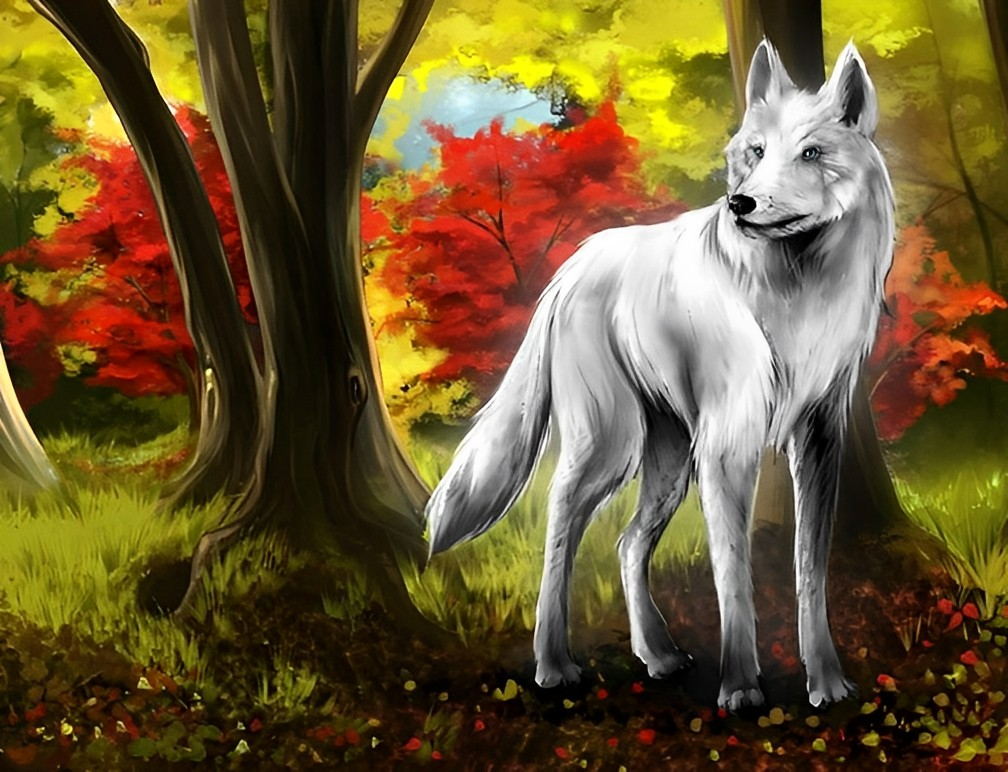 Loup Blanc dans la Forêt Broderie Diamant