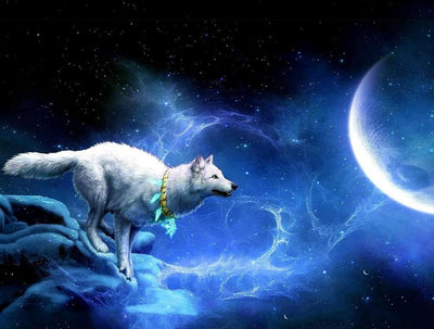 Loup Blanc et Lune Claire Animal Broderie Diamant
