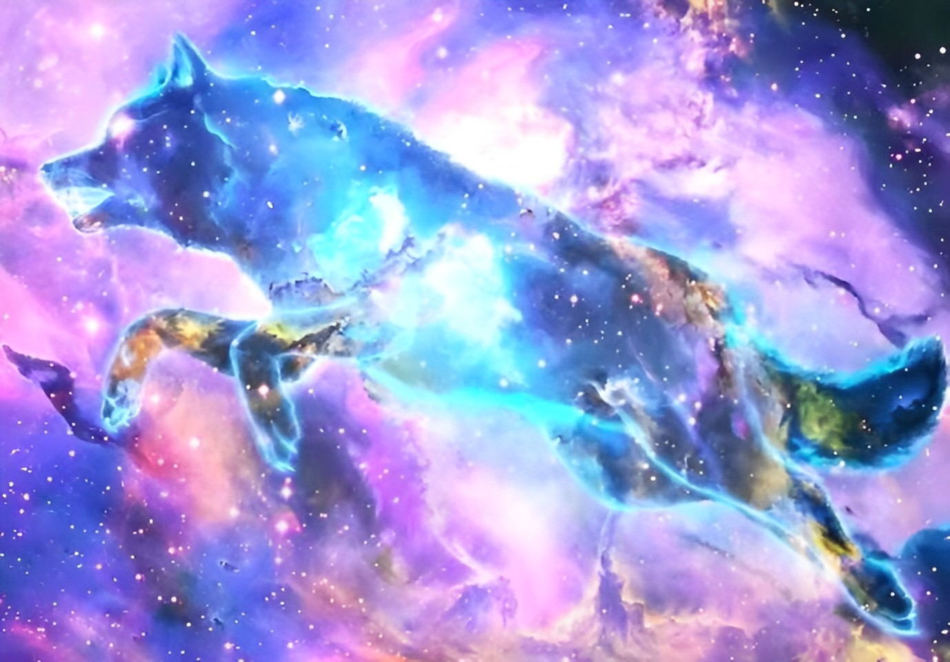 Loup de Lumière Bleue Broderie Diamant