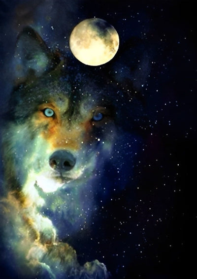 Loup et Ciel Etoilé Broderie Diamant