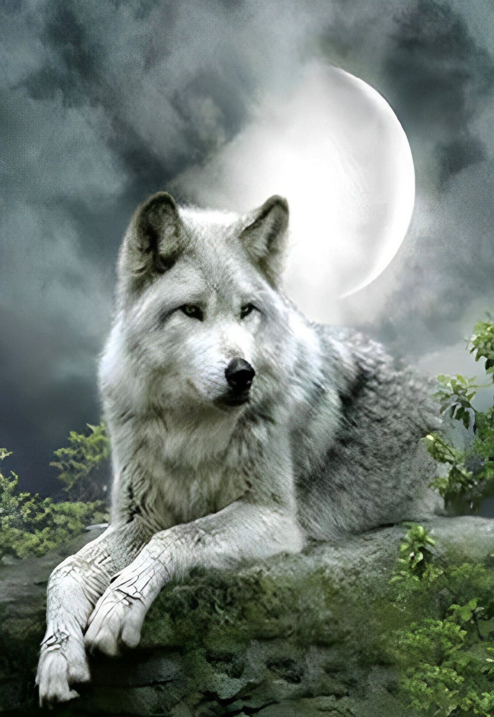 Loup et Lune Blancs Broderie Diamant