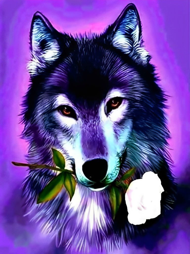 Loup et Rose Blanche Broderie Diamant