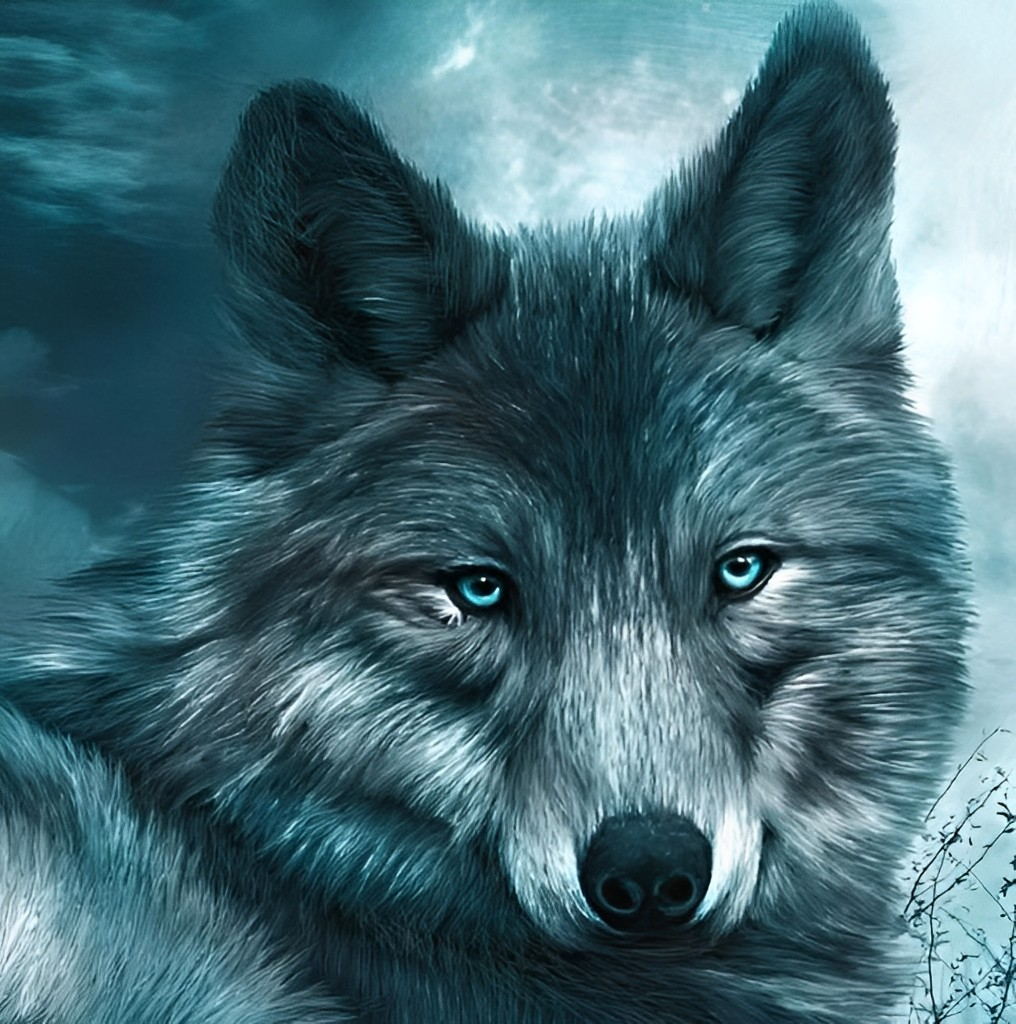 Loup Gris aux Yeux Bleus Broderie Diamant
