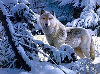 Loup Gris dans la Neige Broderie Diamant
