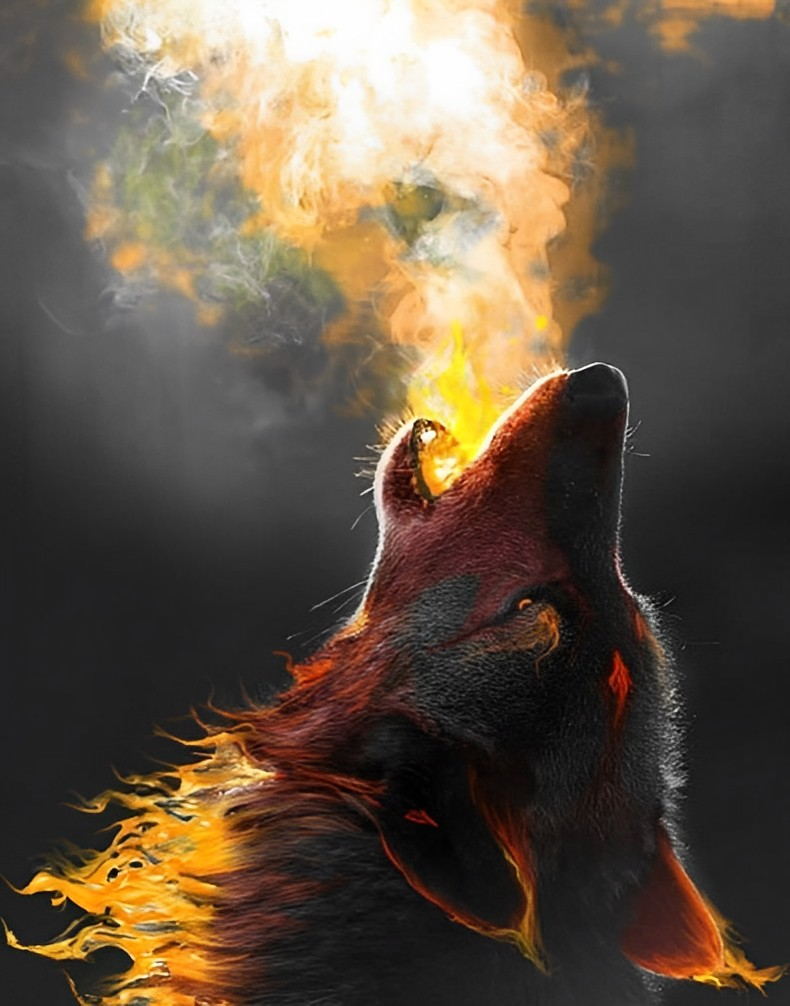 Loup Hurlant vers le Ciel Broderie Diamant