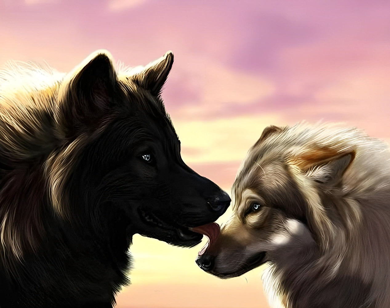 Loup Noir et Loup Gris se Léchant Broderie Diamant