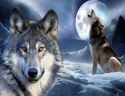 Loup Regardant dans l'Objectif et Loup Hurlant Broderie Diamant