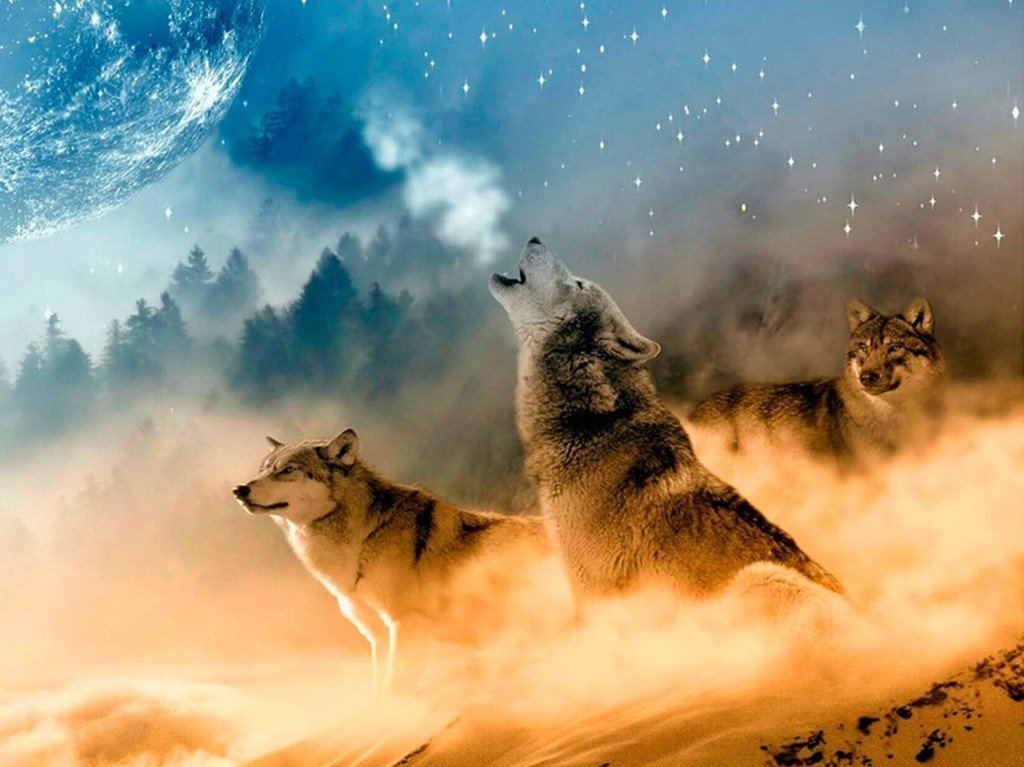 Loups Hurlants et Nuages Magnifiques Broderie Diamant