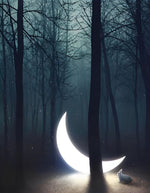 Lune et Lapin en Bois Broderie Diamant