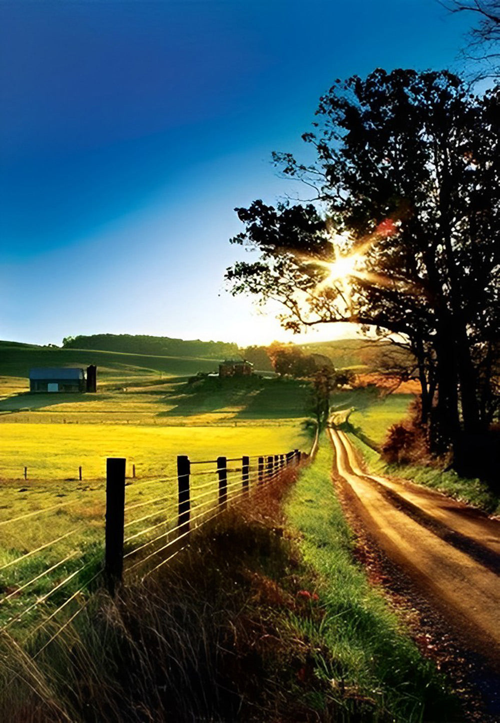 Magnifiques Paysages de Campagne Broderie Diamant