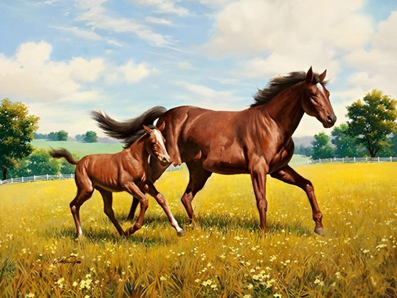 Mère Cheval et Poulain Bruns Broderie Diamant