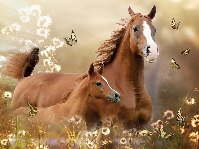Mère Cheval et Son Bébé avec des Papillons Broderie Diamant