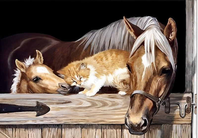 Mère Cheval et Son Bébé avec un Chat Broderie Diamant