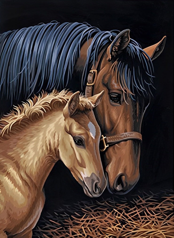 Mère Cheval et Son Petit Poulain Broderie Diamant