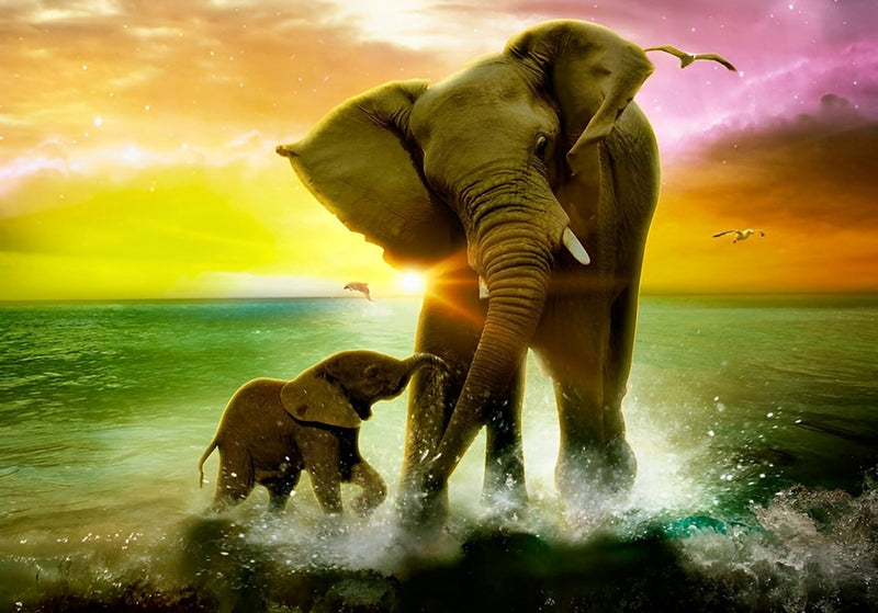 Mère Éléphant et Son Bébé Jouant avec l&