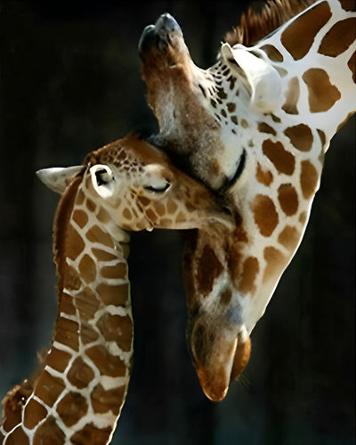 Mère Girafe et Son Bébé Intimes Broderie Diamant