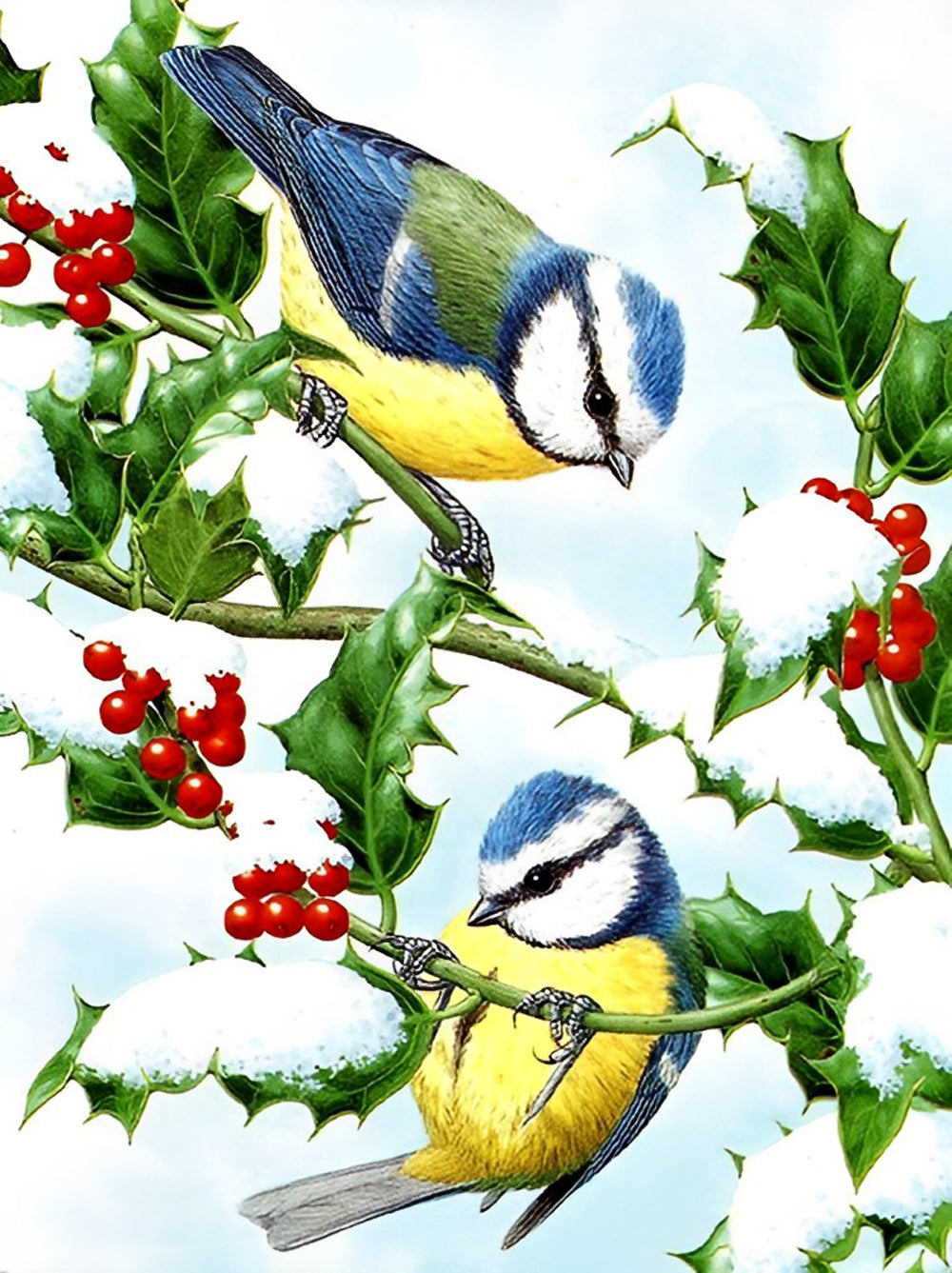 Mésanges dans la Neige Broderie Diamant