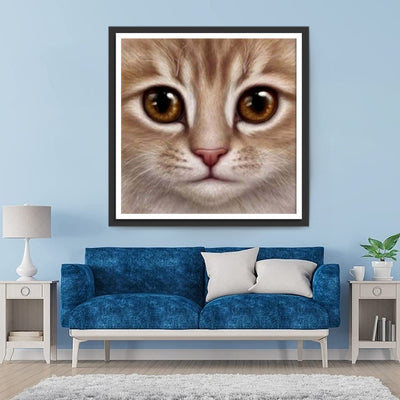 Mignon Chat Orange Broderie Diamant