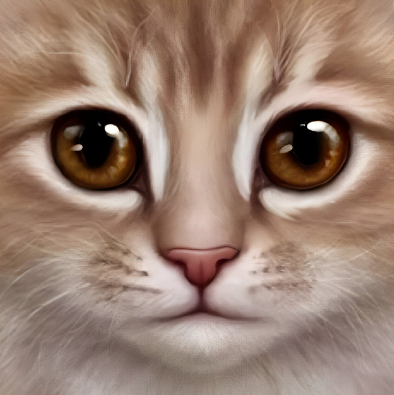 Mignon Chat Orange Broderie Diamant