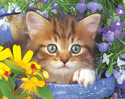 Mignon Chaton Orange dans un pot de Fleurs Broderie Diamant