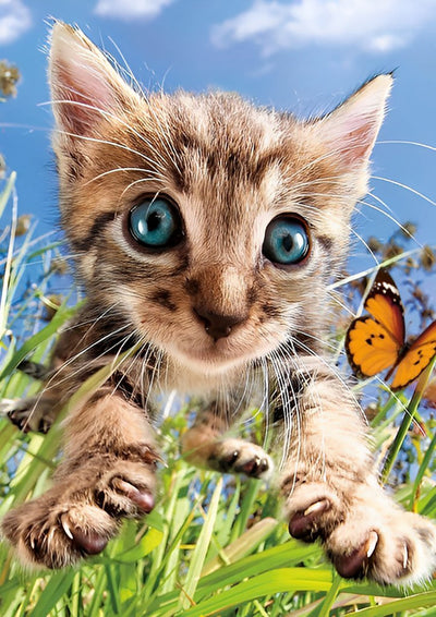 Mignon Chaton Tigré et Papillon Broderie Diamant