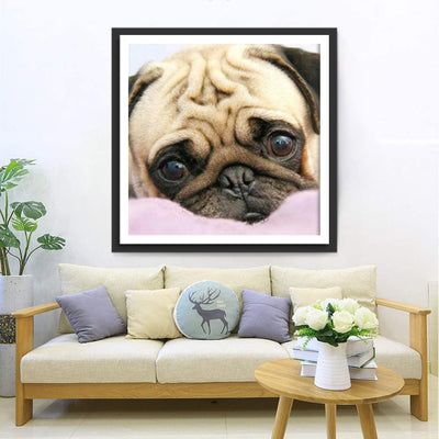 Mignon Chien Carlin Innocent Broderie Diamant