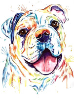 Mignon Chien Coloré Animal Broderie Diamant