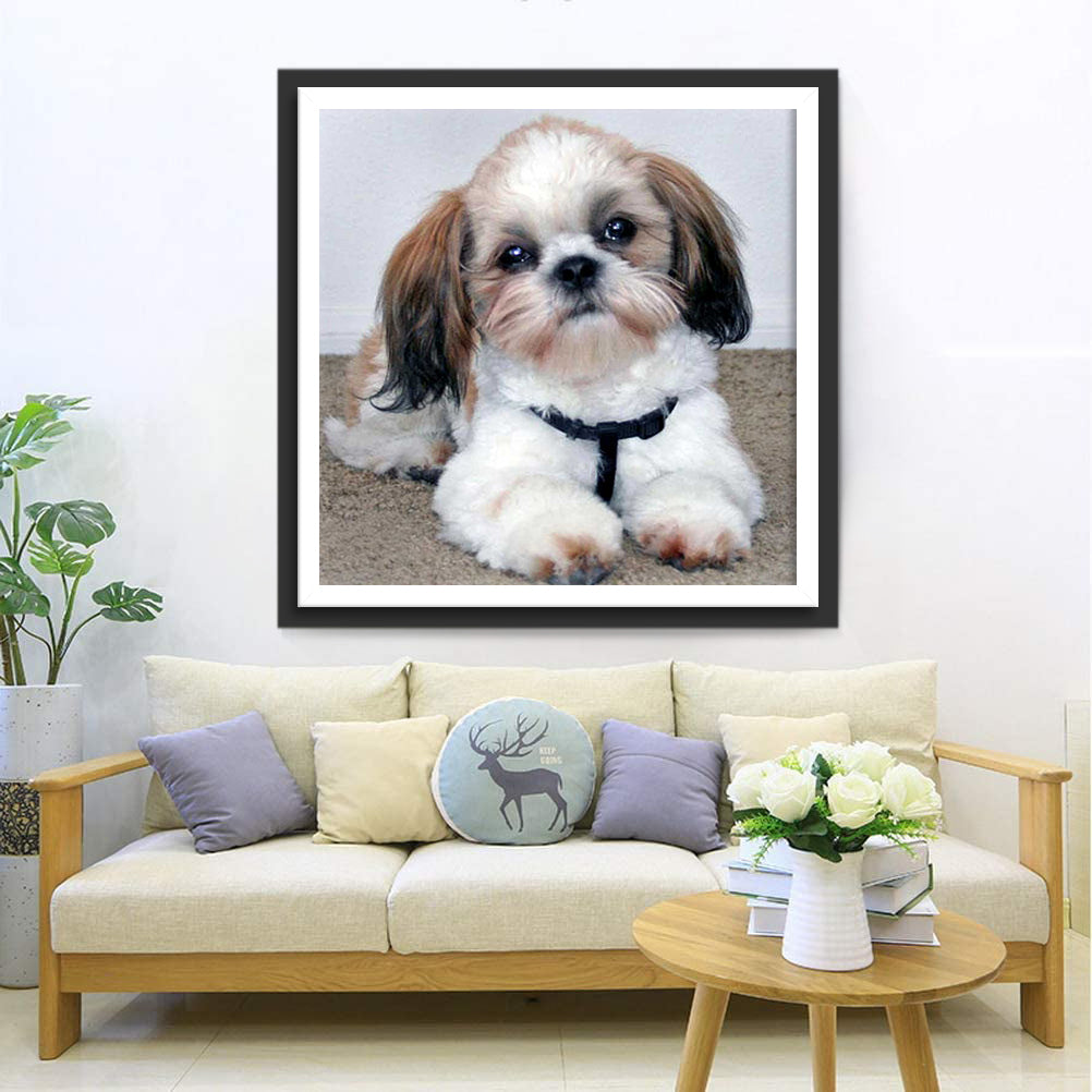 Mignon Chien Shih Tzu Broderie Diamant