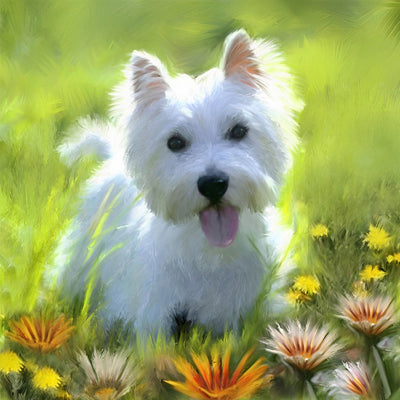 Mignon Chien Westie Broderie Diamant