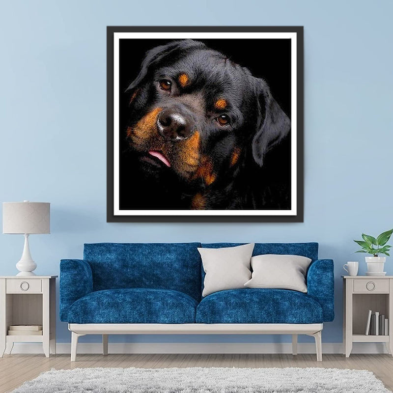 Mignon Chiot Rottweiller Broderie Diamant