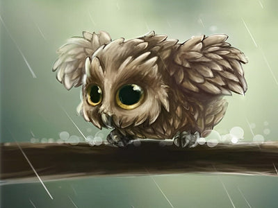 Mignon Chouetton Sous la Pluie Broderie Diamant