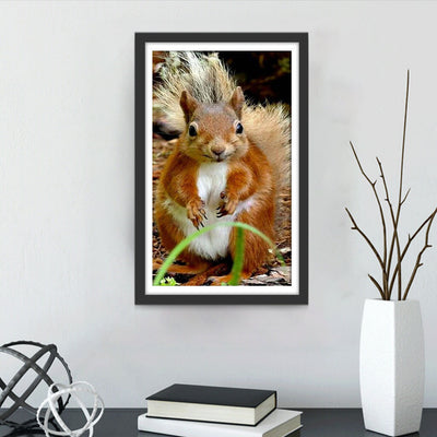 Mignon Écureuil Roux Broderie Diamant