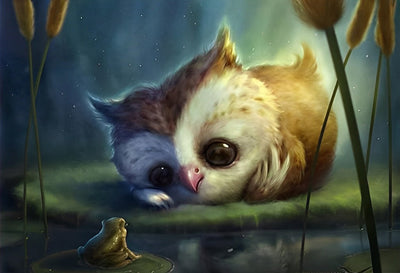 Mignon Hibou au Visage Blanc Broderie Diamant