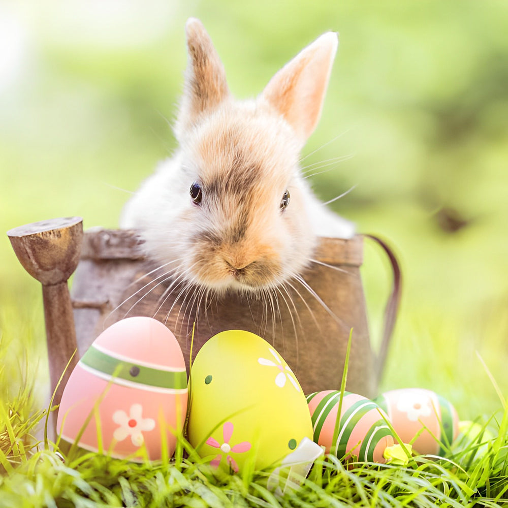 Mignon Lapin de Pâques Fête Broderie Diamant