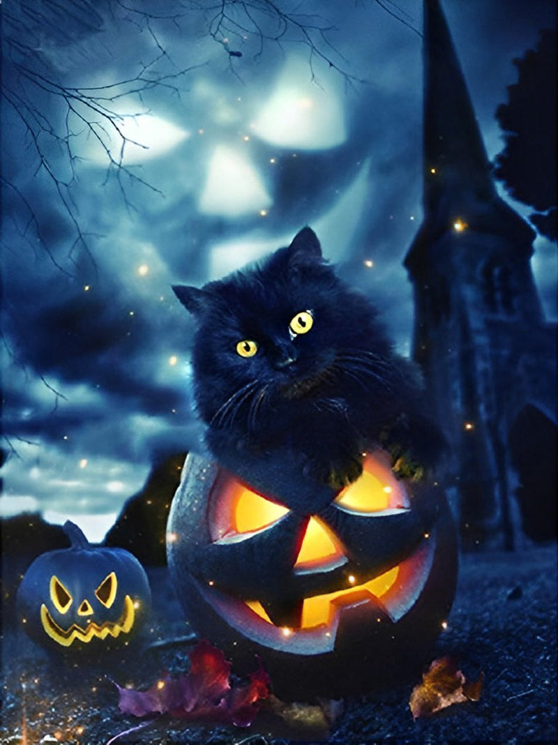 Mignon Petit Chaton Noir Poilu Broderie Diamant
